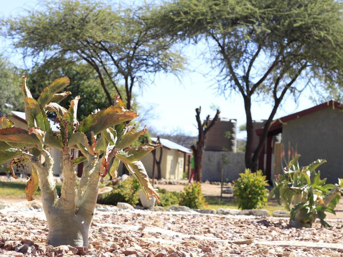 Abenab Lodge & Tours Cc Grootfontein Exterior foto